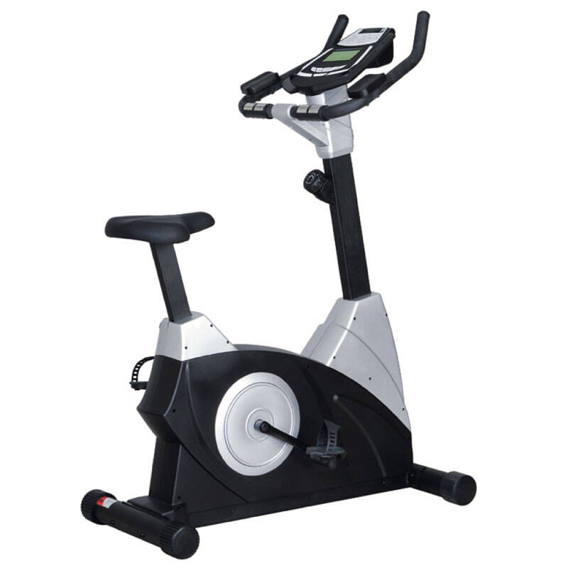 Bicicleta Fija Ranbak Ran-440