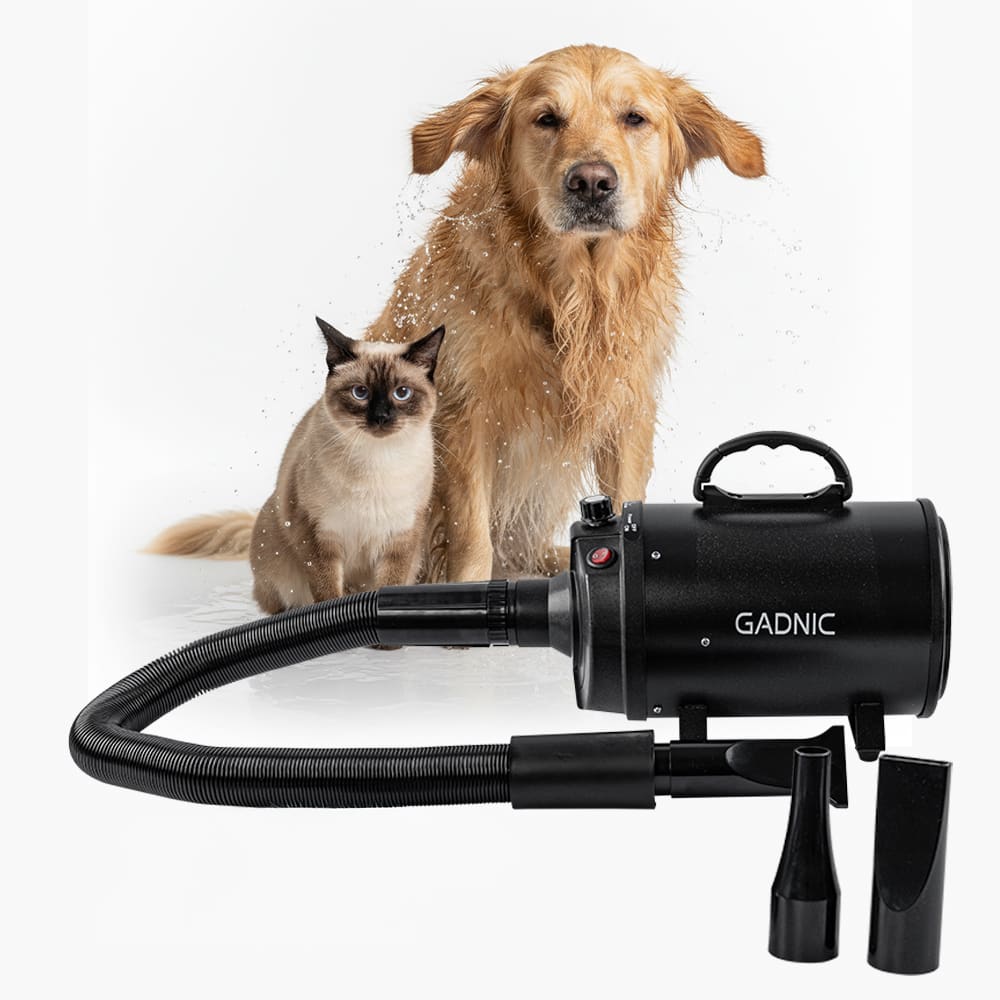 Secador de Pelo Profesional para Perros Gadnic PD2000 2000W