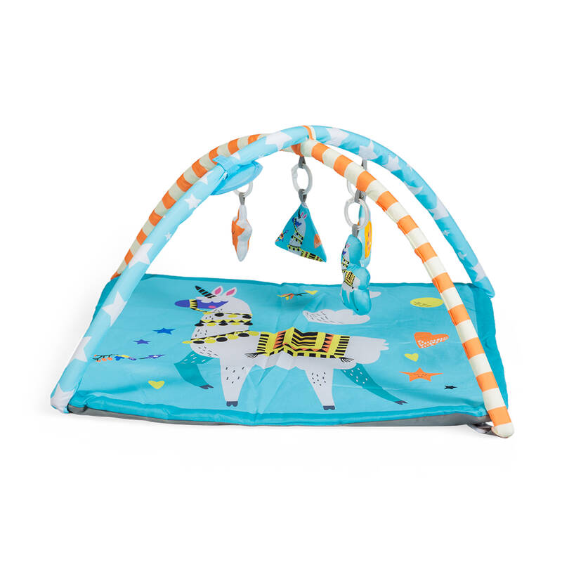 Gimnasio Bebe Bebesit 5010-Ci