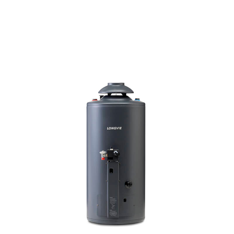 Termotanque Longvie Tp860ar-N