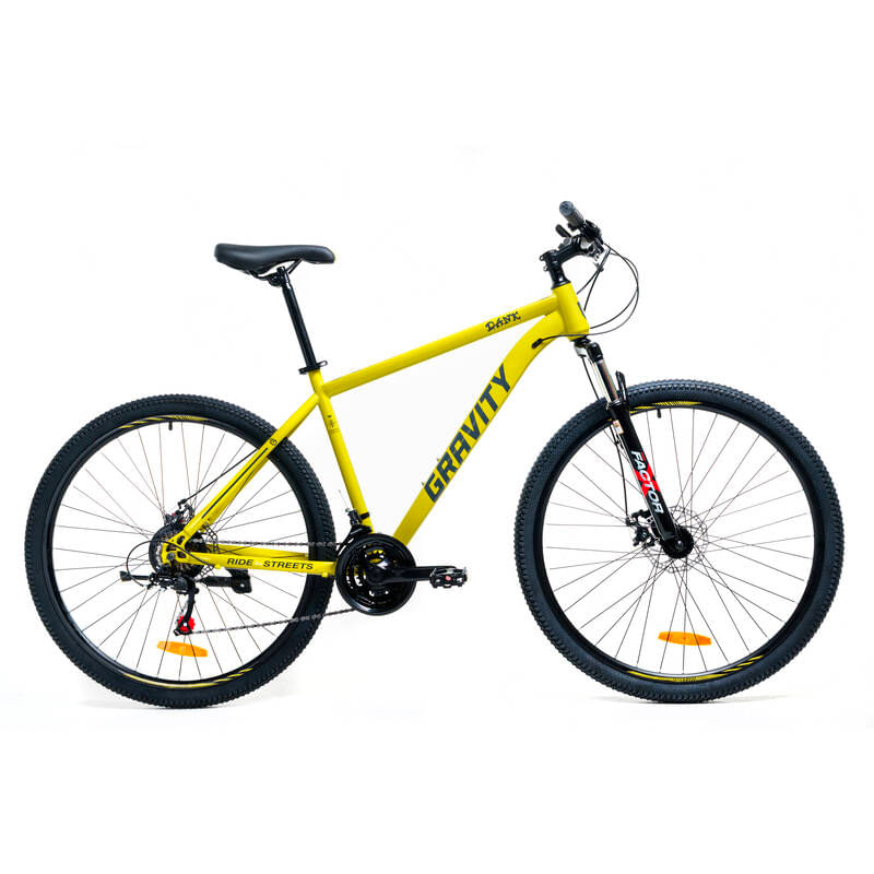 Bicicleta R29 Gravity Dank
