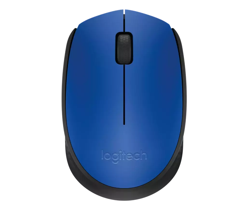 Mouse InaláMbrico Logitech M170 Usb 2.4ghz Ambidiestro Azul