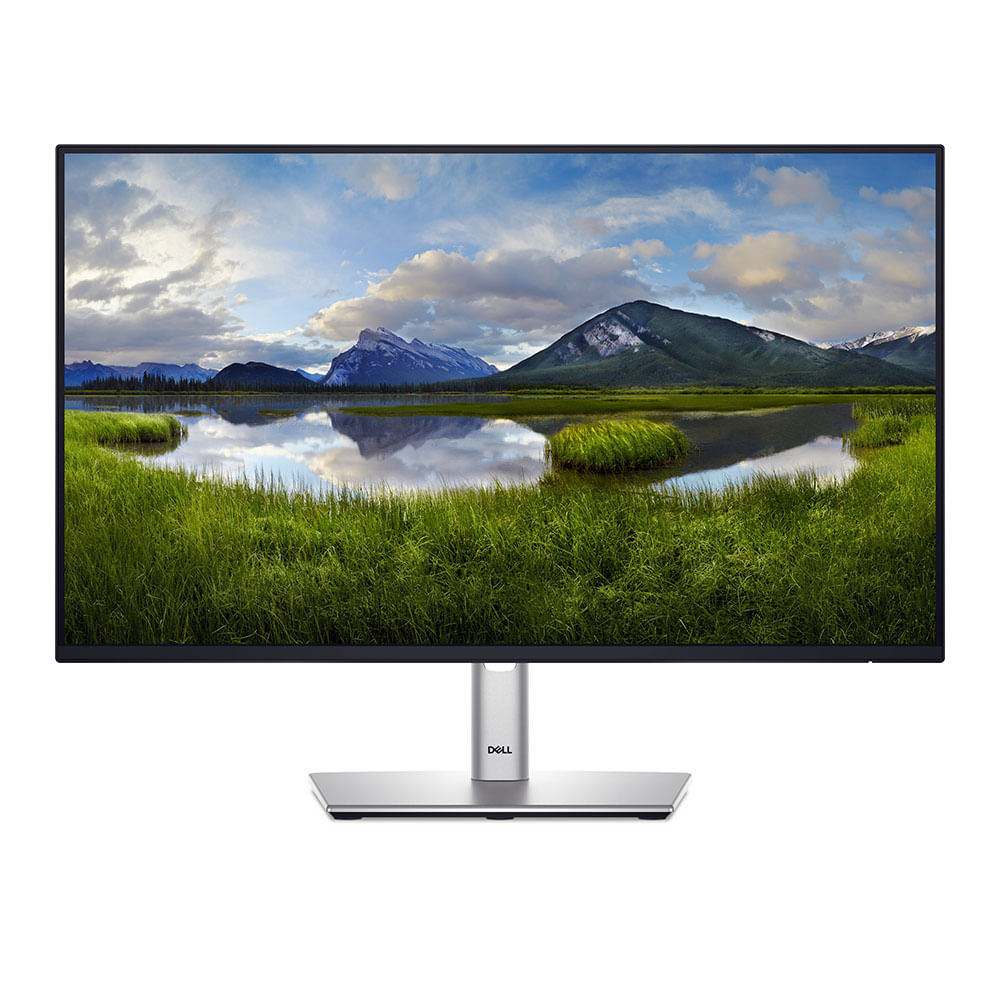 Monitor 24 Dell P2425h Vga Hdmi Dport