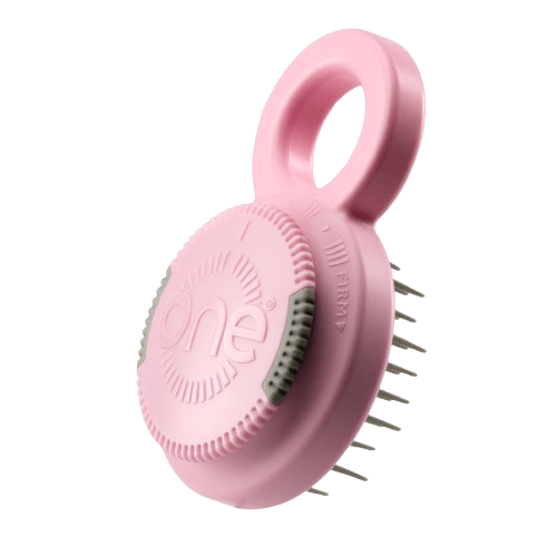 Cepillo Para Peinar Mini Desenredante Anti Frizz Profesional
