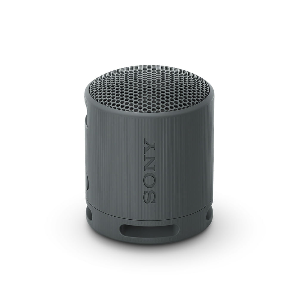 Parlante inalámbrico portátil Sony XB100 Negro
