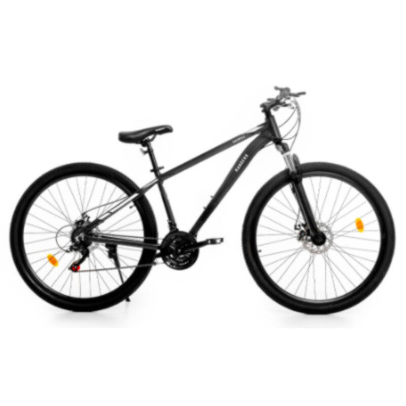 Bicicleta R29 Randers Kawill