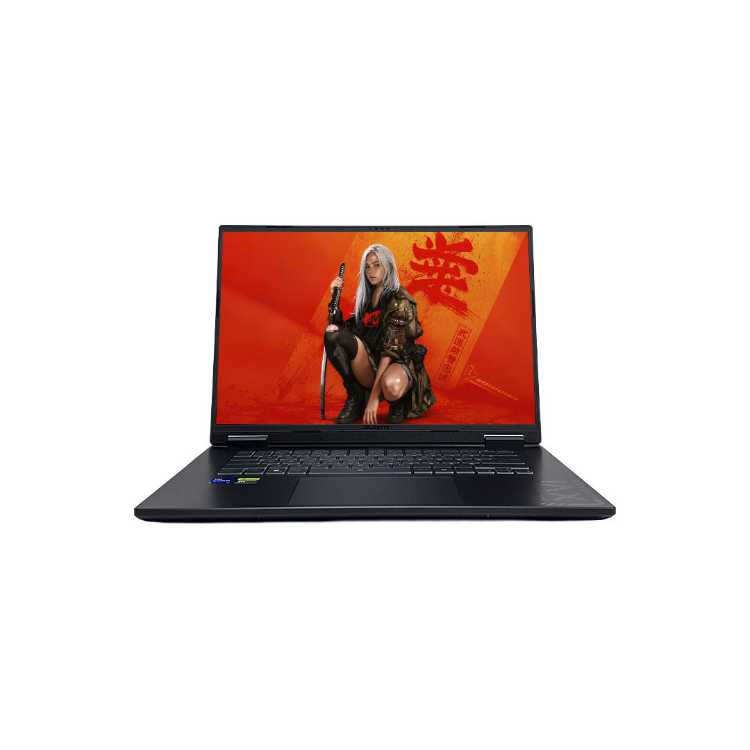 Notebook Gigabyte Gaming A16 i7-13620H 48GB 1TB RTX 5060