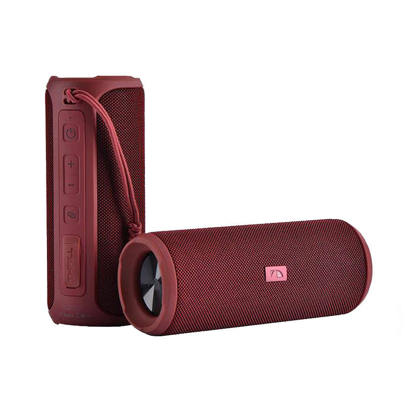 Parlante Portatil Nakamichi Thrill