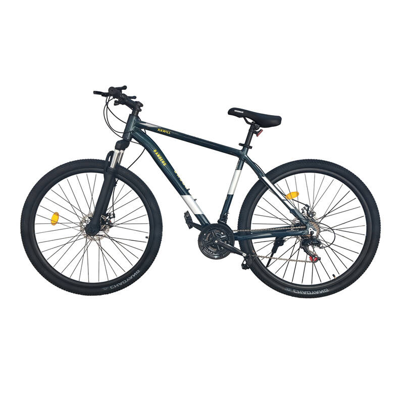 Bicicleta R29 Randers Kawill