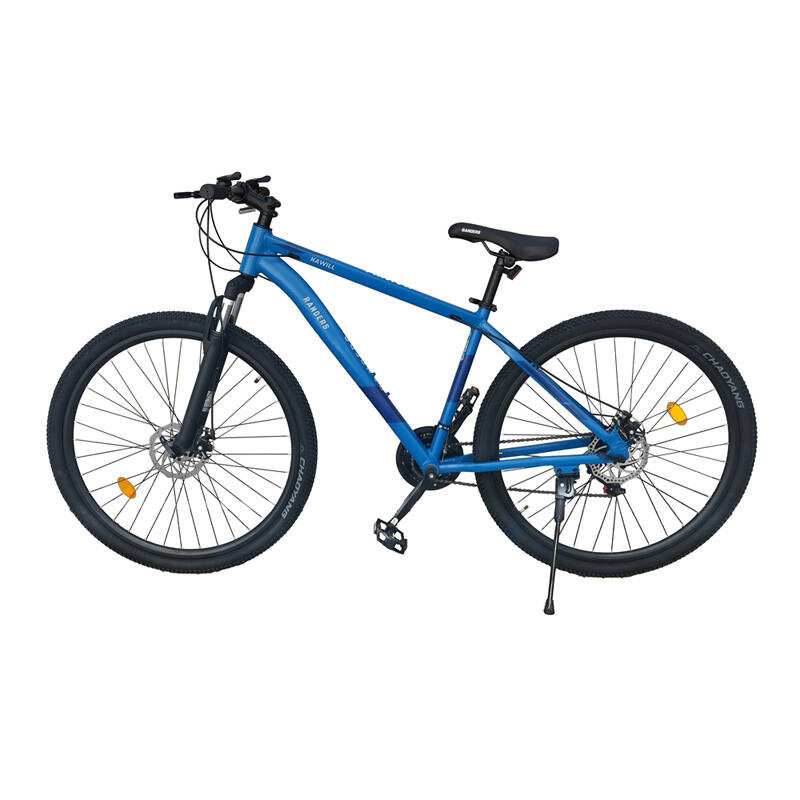 Bicicleta R29 Randers Kawill