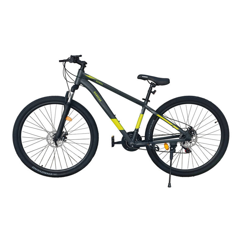 Bicicleta R29 Randers Kawill