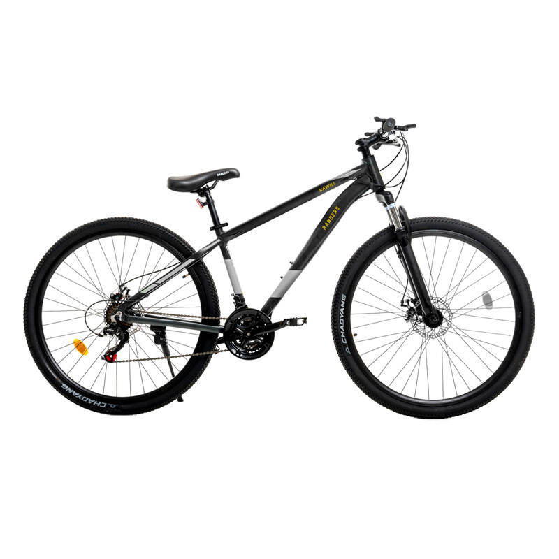 Bicicleta R29 Randers Kawill