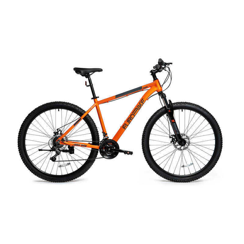 Bicicleta R29 Eurobike Praga 3.0 Plus